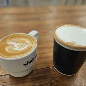 샬로우커피 대표 사진