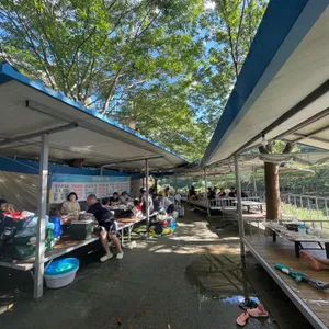 캐빈하우스 대표 사진