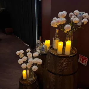 루미테라 리뷰 사진