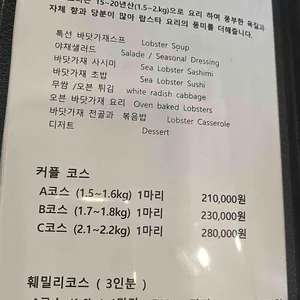 노바랍스터 리뷰 사진