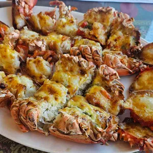 노바랍스터 리뷰 사진