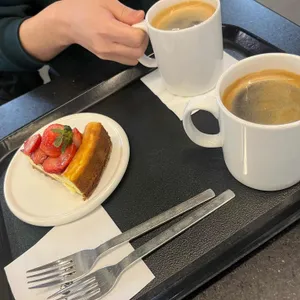 마호가니 대표 사진