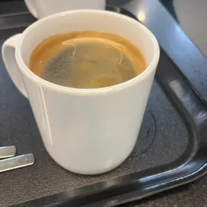 마호가니 대표 사진