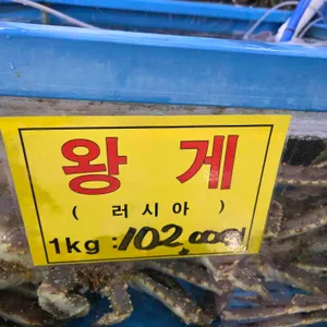 대전신화수산활어회센터 리뷰 사진