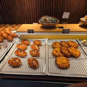 카페 알프카 리뷰 사진