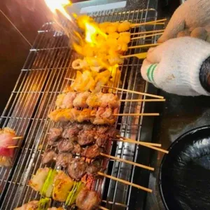 네코 대표 사진