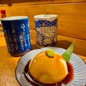 네코 대표 사진