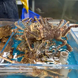 대게만찬 리뷰 사진