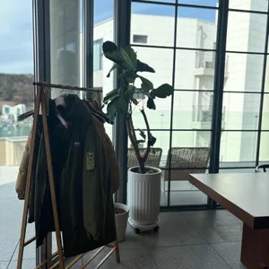 디시앤쉐어 리뷰 사진