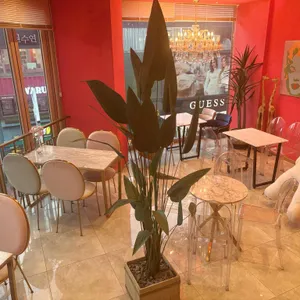 핑크 게이트 리뷰 사진