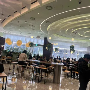 쉐이크쉑 리뷰 사진