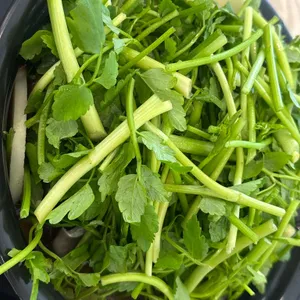 등촌샤브칼국수 리뷰 사진