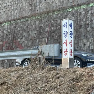 이향 대표 사진