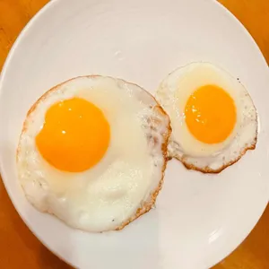 함포비빔밥 대표 사진