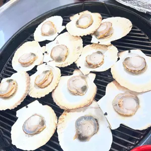 모녀가리비 대표 사진