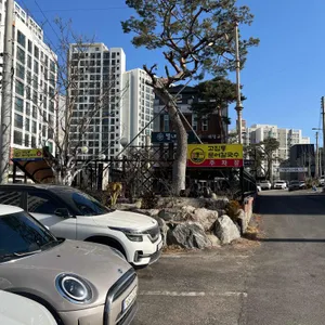 고집통문어칼국수 리뷰 사진