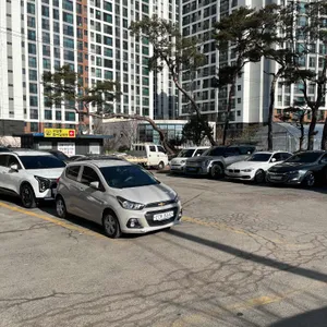 고집통문어칼국수 리뷰 사진