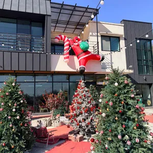 카페인 포레스트 리뷰 사진