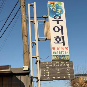 원조우어회 리뷰 사진