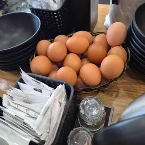 일품순두부 사진