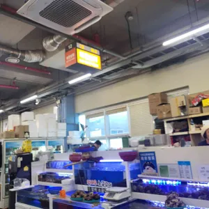 미진상회조개구이 리뷰 사진