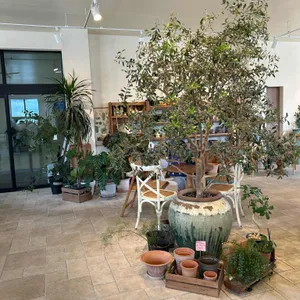 유칼립투스농장 리뷰 사진