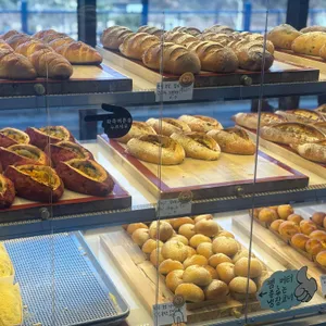 신불산에봄 리뷰 사진