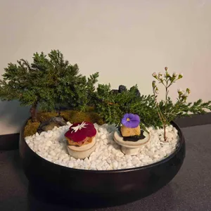 수티문 리뷰 사진