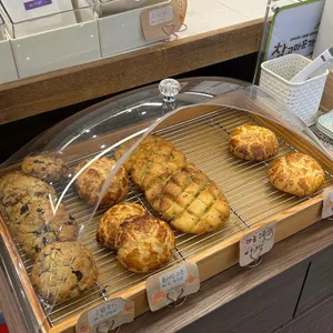 아스테로 커피 리뷰 사진