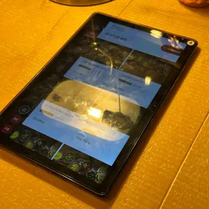 아그라 리뷰 사진