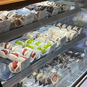 다니당 대표 사진