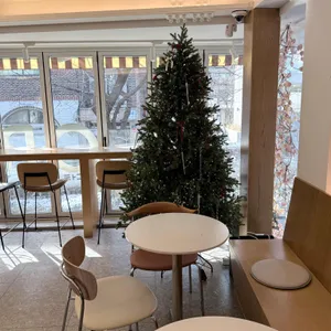 오로라 케이크하우스 리뷰 사진