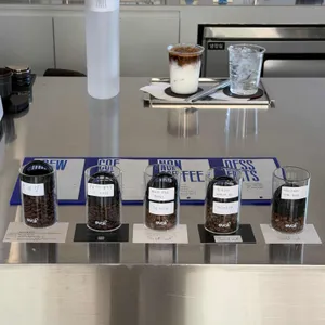 올오브 리뷰 사진