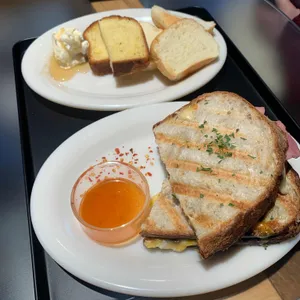 콜프로스터스 사진