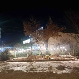 신동태 리뷰 사진