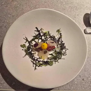 콘피에르 셀렉션 사진