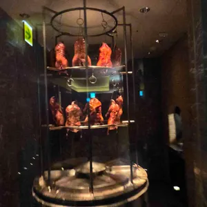 유유안 리뷰 사진