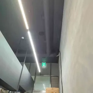 덴테 리뷰 사진