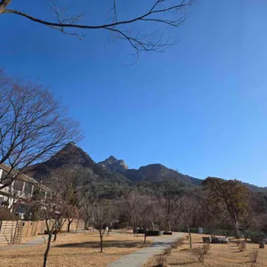 스타벅스 대표 사진