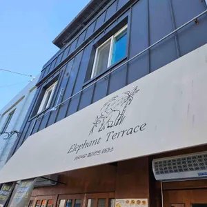 엘리펀트 리뷰 사진