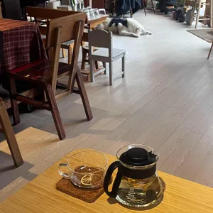 카페 시소 대표 사진