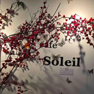 쏠레이 리뷰 사진