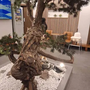 긴자 대표 사진