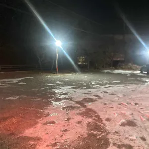 안나의정원 리뷰 사진