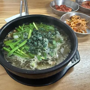 동강다슬기 사진