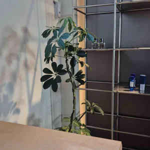 콜터커피 리뷰 사진