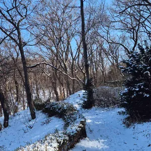 매화곤드레밥 리뷰 사진