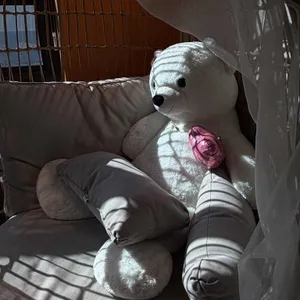 파스쿠찌 리뷰 사진