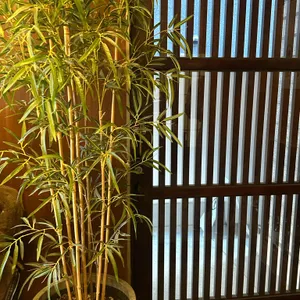 교토정원 리뷰 사진