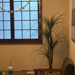 교토정원 리뷰 사진